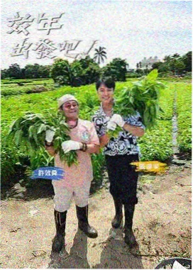 徒步三千公里综艺在线观看